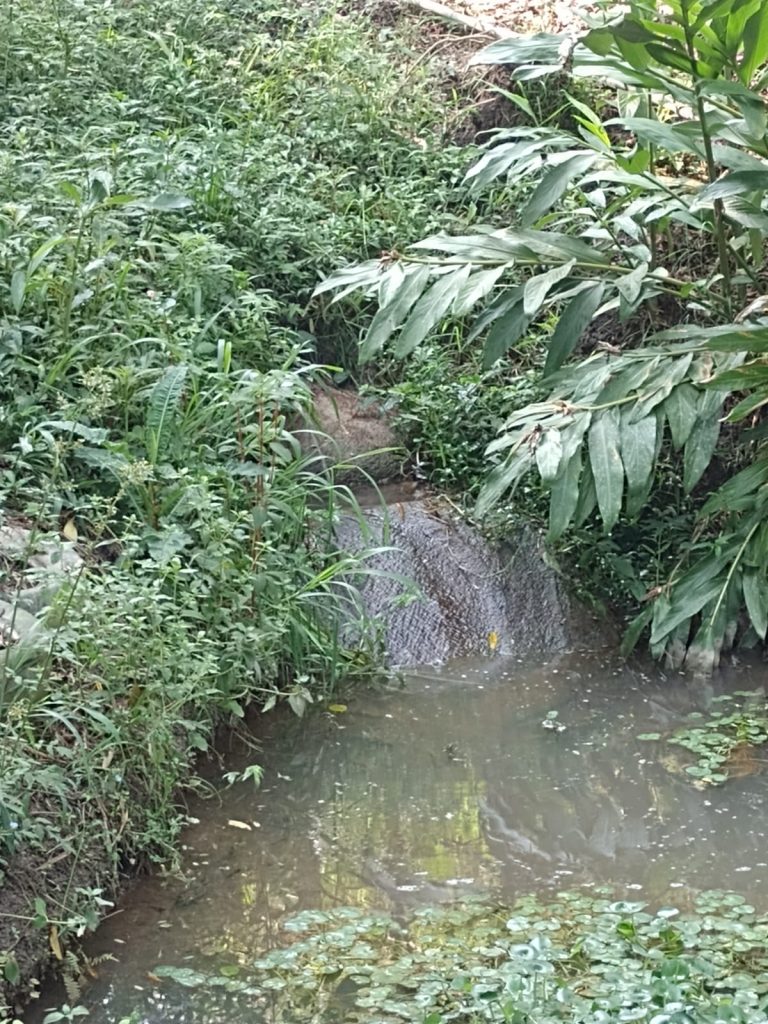 Sítio em Natividade da Serra