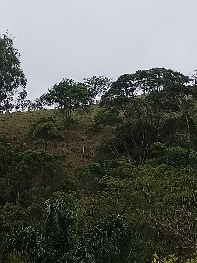 Sítio em Natividade da Serra